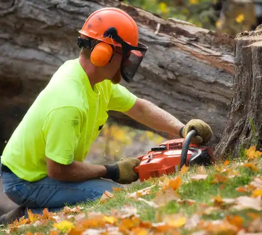 tree services Logansport